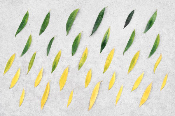 Connaître et s'engager avec les énergies renouvelables