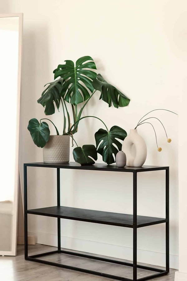 Comment intégrer un vase argenté dans votre décoration ?